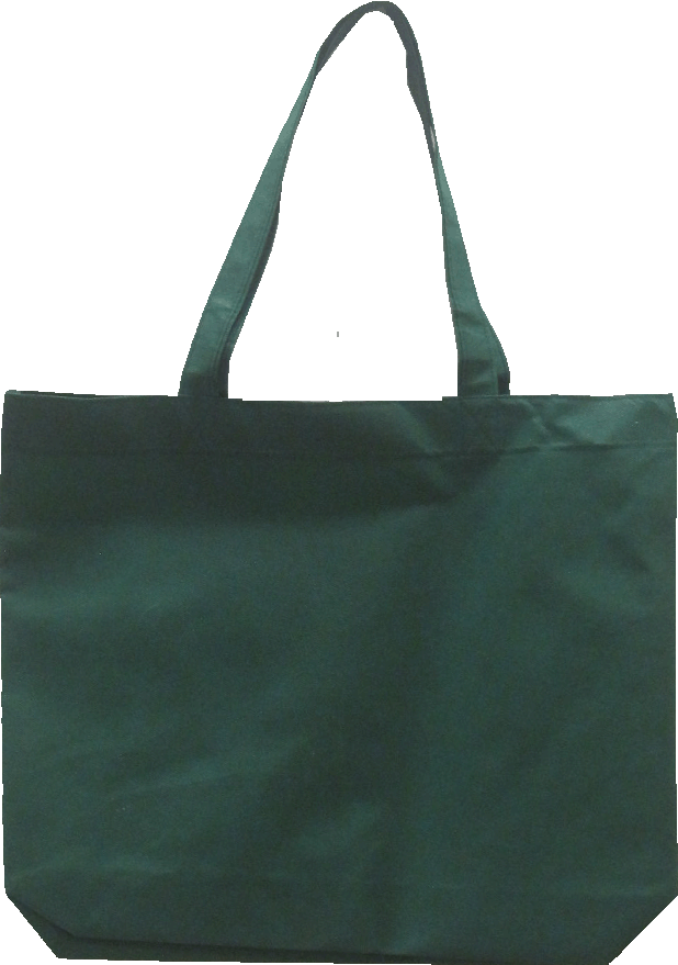 CANASTA, BOLSA ECOBAG SIN IMPRESION